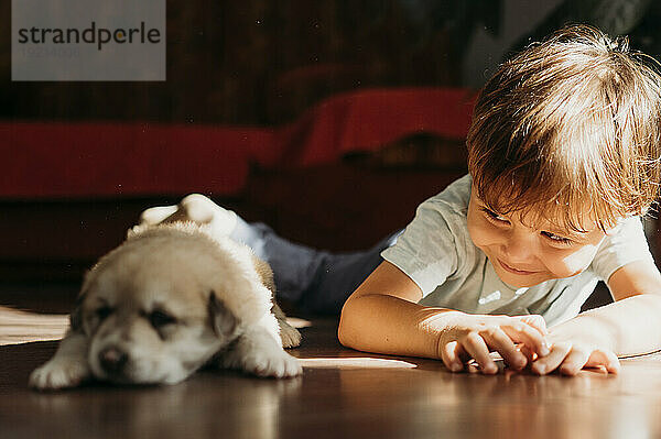 Cute boy looking at puppy lying on floor at home