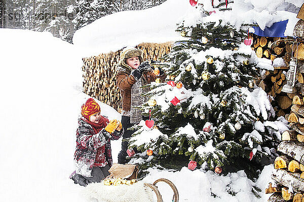 Geschwister schmücken Weihnachtsbaum in der Nähe von Brennholz