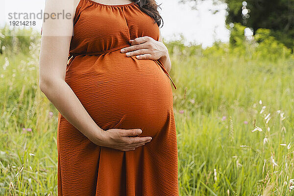 Schwangere Frau mit den Händen auf dem Bauch steht im Grasbereich