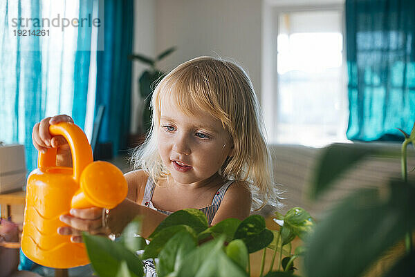 Blond girl watering houseplants at home