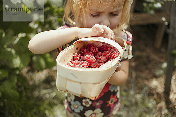Girl holding box of raspberries in garden