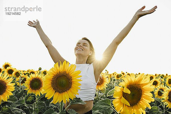 Sorglose Frau mit erhobenen Armen steht im Sonnenblumenfeld