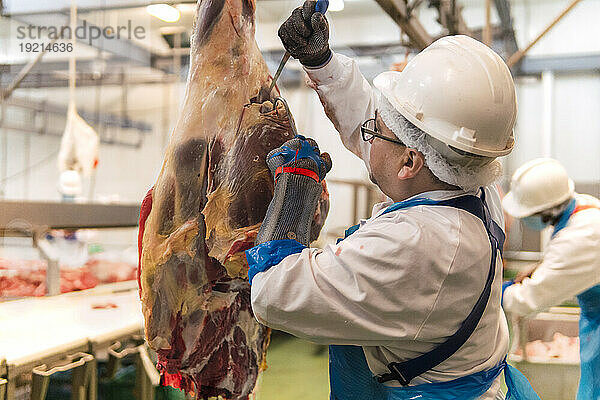 Reifer Metzger schneidet Kuhbein im Schlachthof