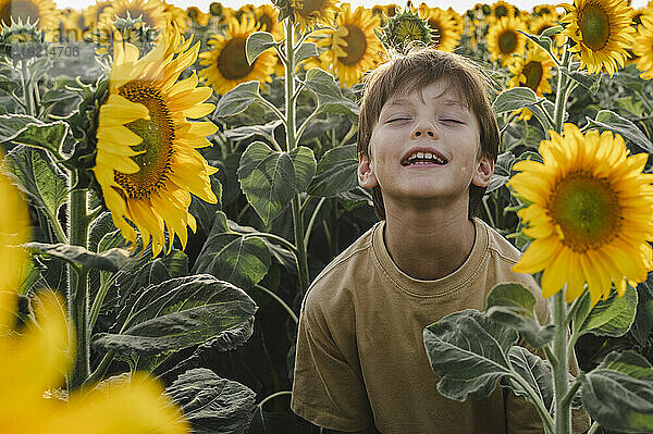 Sorgloser Junge mit geschlossenen Augen im Sonnenblumenfeld