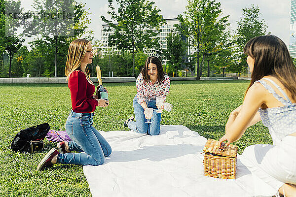 Fröhliche Freunde bereiten sich an einem sonnigen Tag auf ein Picknick im Park vor