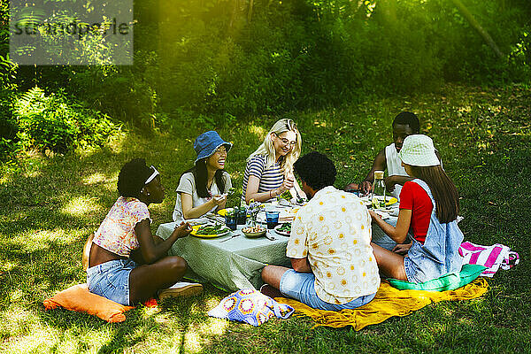 Fröhliche Freunde genießen gemeinsam ein Picknick im Garten