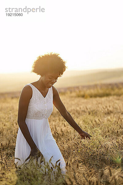 Glückliche Frau  die bei Sonnenuntergang im Weizenfeld spaziert