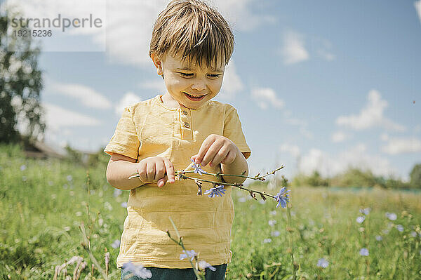 Smiling boy holding flower twig standing in meadow