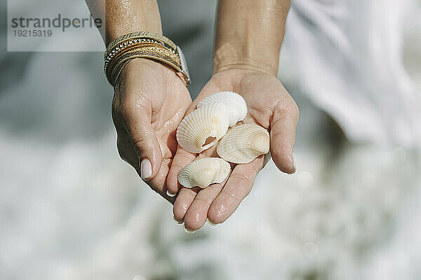 Frau hält Muscheln in der Hand am Strand