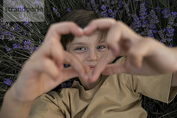 Smiling boy making heart shape lying on lavender flowers