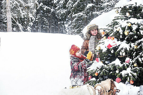 Geschwister schmücken den Weihnachtsbaum im Schnee