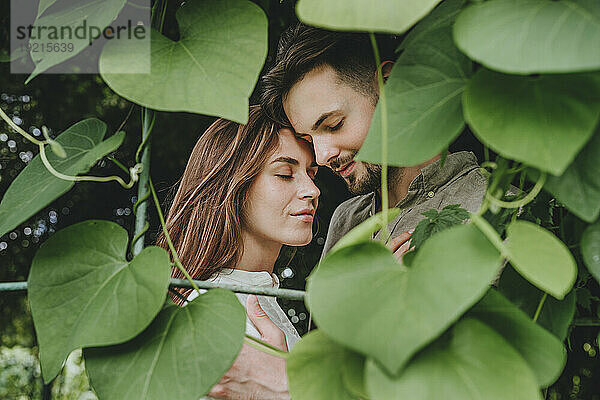 Romantic couple hugging amidst plants