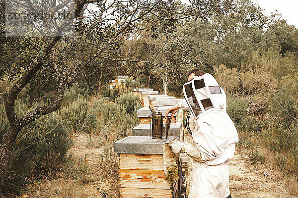 Imker arbeiten in der Nähe von hölzernen Bienenstöcken im Bienenhaus