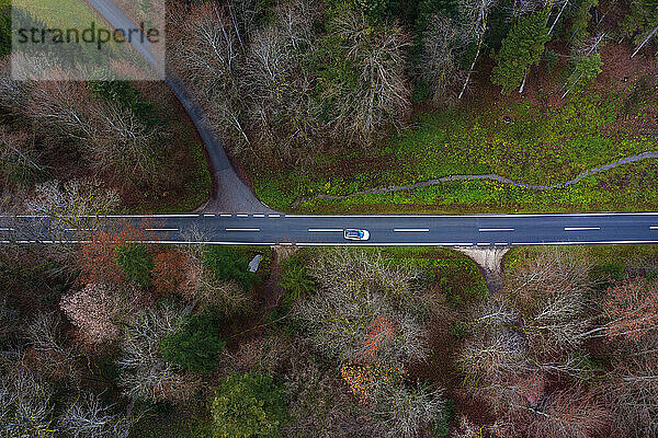 Österreich  Oberösterreich  Drohnenansicht eines Autos auf einer Asphaltstraße  die sich durch den Herbstwald erstreckt