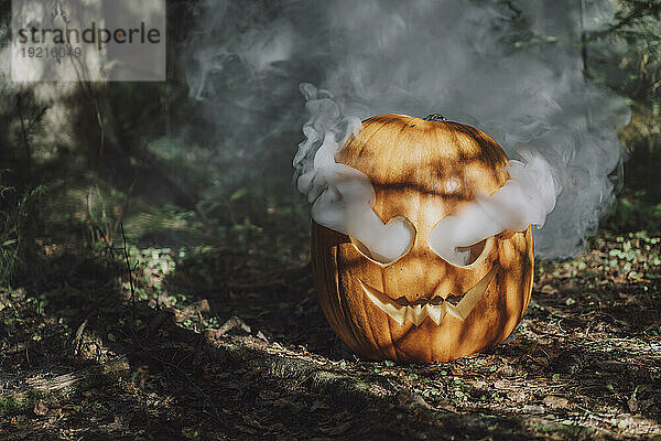 Rauch  der aus einer geschnitzten Jack O'Lantern im Wald austritt