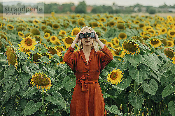 Frau schaut durch ein Fernglas und steht im Sonnenblumenfeld