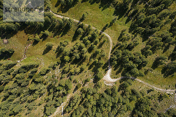 Österreich  Salzburger Land  Drohnenansicht einer unbefestigten Straße  die sich im Sommer durch Nadelwälder erstreckt