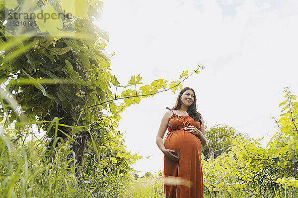 Smiling pregnant woman with hands on stomach standing under sky