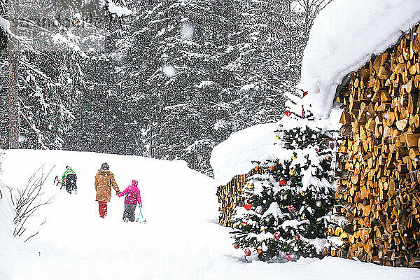 Großmutter geht mit Kindern vor Bäumen im Schnee spazieren