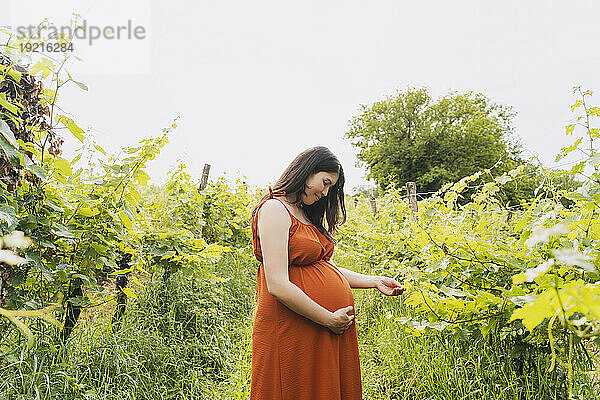 Lächelnde schwangere Frau  die neben Pflanzen steht