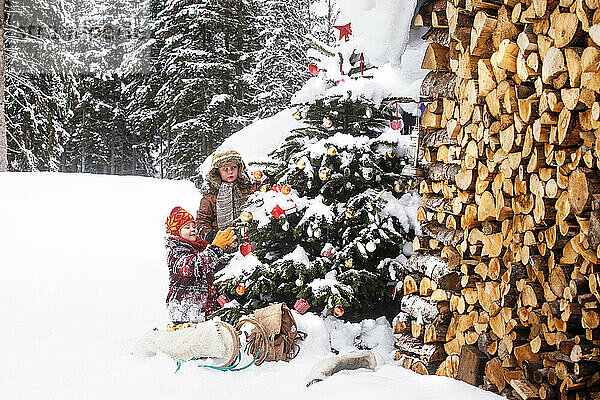 Schwester und Bruder schmücken Weihnachtsbaum in der Nähe von Brennholz