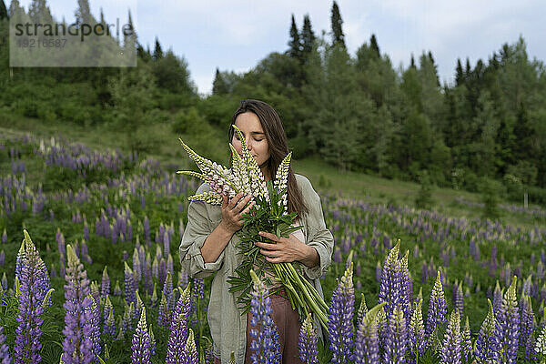 Ruhige Frau riecht einen Strauß Lupinenblüten auf dem Feld