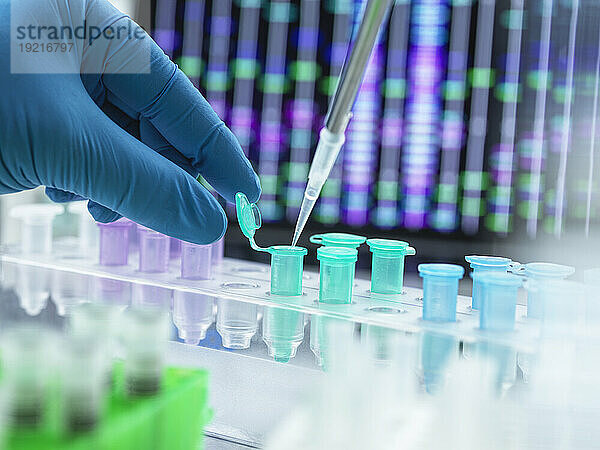 Wissenschaftler pipettiert DNA-Probe in Eppendorf-Röhrchen