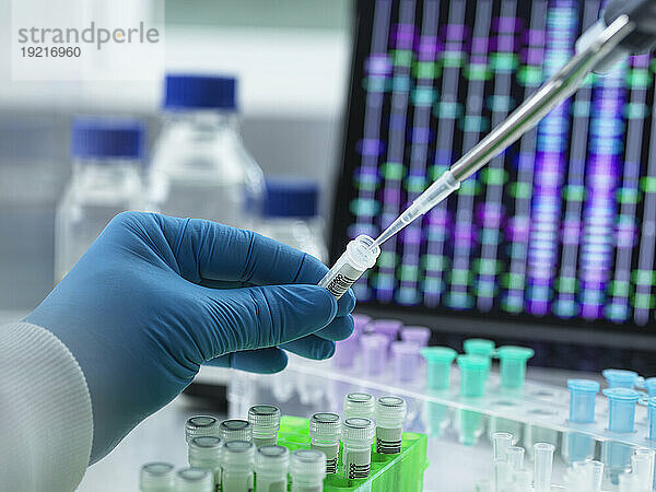Wissenschaftler pipettieren DNA-Probe zum Testen in ein Fläschchen