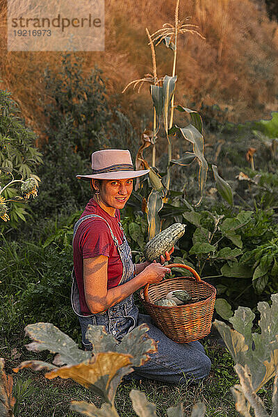 Lächelnde Frau erntet Zucchini im Gemüsegarten