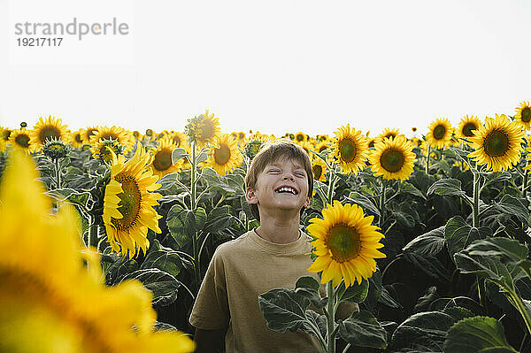 Fröhlicher Junge  der inmitten von Blumen im Sonnenblumenfeld lacht
