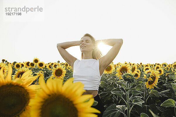 Frau mit den Händen hinter dem Kopf steht im Sonnenblumenfeld