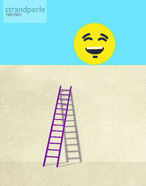 Smiley face on top of wall with ladder in foreground