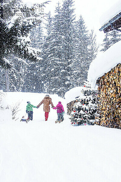 Großmutter hält Händchen und geht mit Kindern spazieren  die Schlitten durch den Schnee ziehen