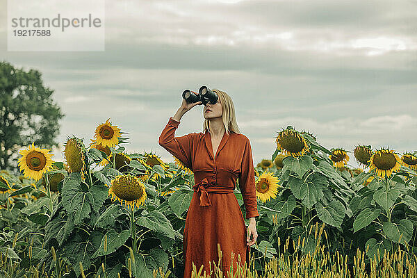 Frau im roten Kleid blickt durch ein Fernglas auf Sonnenblumenfeld