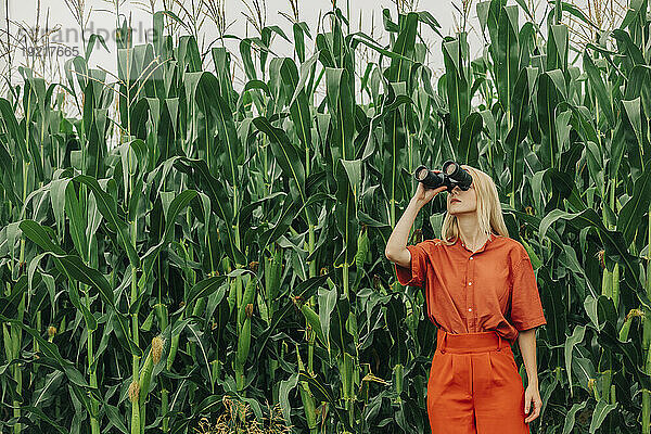 Frau schaut durch ein Fernglas im Maisfeld