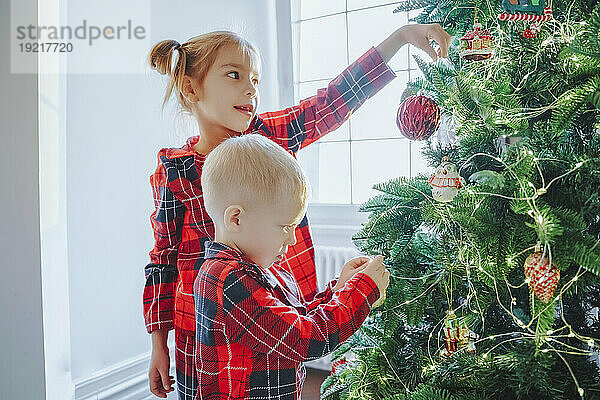 Schwester und Bruder schmücken zu Hause den Weihnachtsbaum