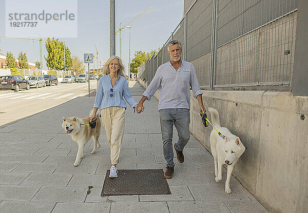 Mann und Frau gehen mit Hunden auf dem Bürgersteig an der Straße spazieren