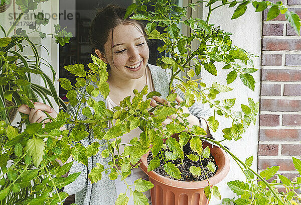 Lächelndes Teenager-Mädchen mit Tomatenpflanze im Topf auf dem Balkon