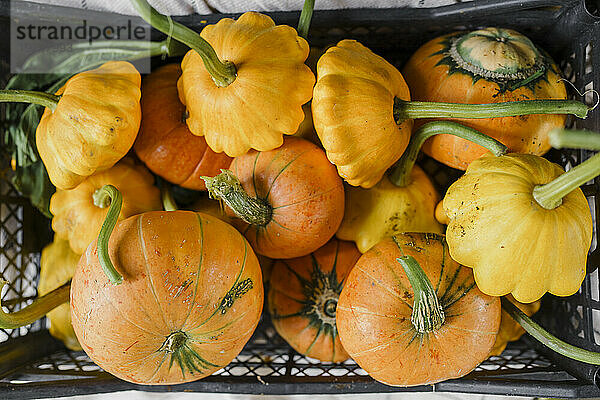 Directly above view of fresh pumpkins in crate