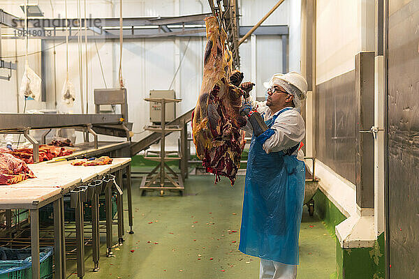 Metzger schneidet Kuhfleisch im Schlachthof