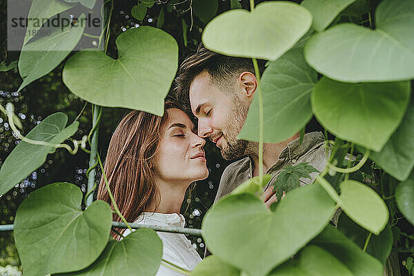 Romantisches junges Paar inmitten von Pflanzen im Garten
