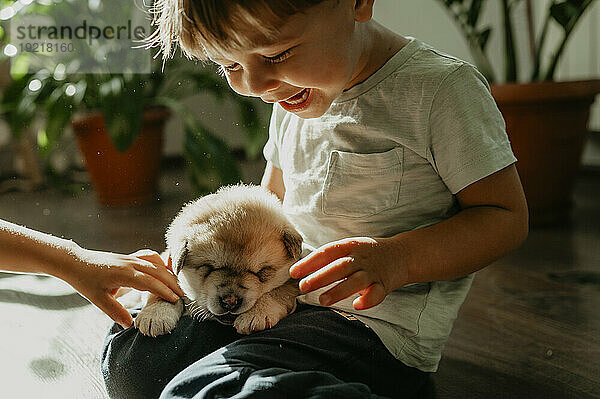 Happy boy playing with cute puppy at home