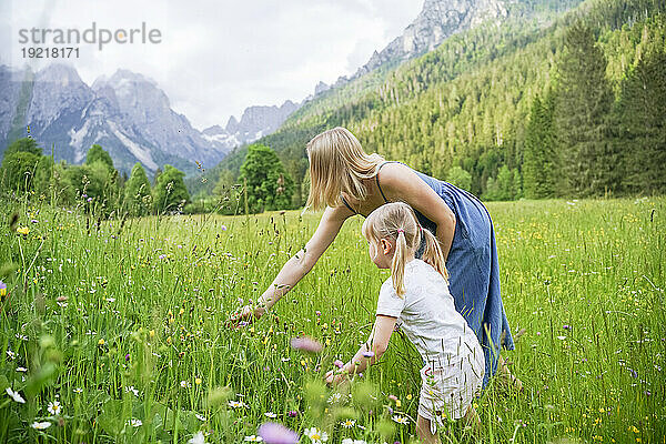 Woman picking flowers with daughter standing amidst plants