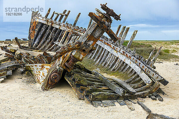 France  Manche  Cotentin. Portbail. Shipwreck on the beach