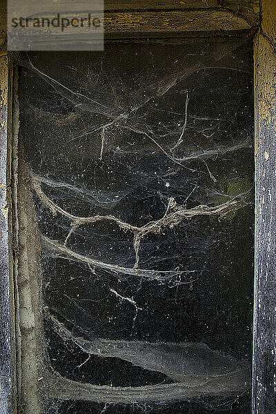 Frankreich  Aubusson  23  Spinnennetze spannen sich über die Pfosten eines baufälligen Fensters  08/2021.