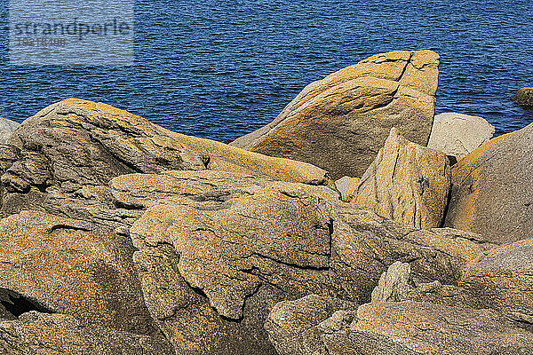 France  Ile d'Yeu  85  Pointe des Corbeaux  details of the Cote sauvage  granite rock.