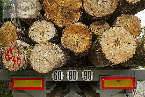 Frankreich  Aubusson  23  Holztransport per LKW.