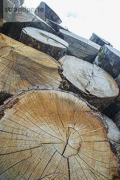 France  Aubusson  23  logs transported by truck.