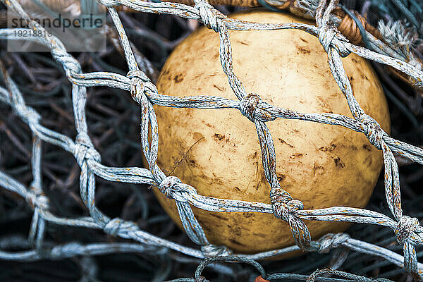 France  Manche  Cotentin. Buoy and fishing net