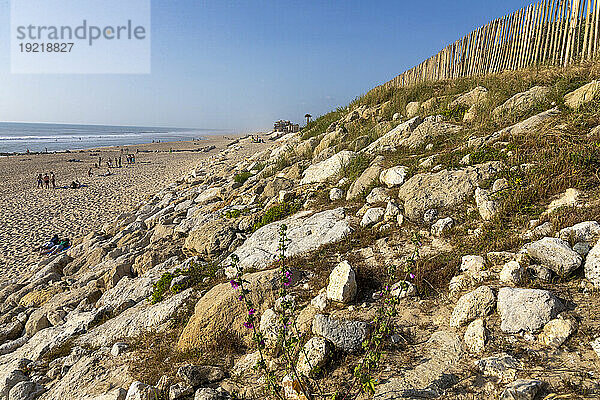 Frankreich  Nouvelle Aquitaine  Gironde  Lacanau  Lacanau-Ocean. Schutz der Küste vor Erosion und Küstenrückgang
